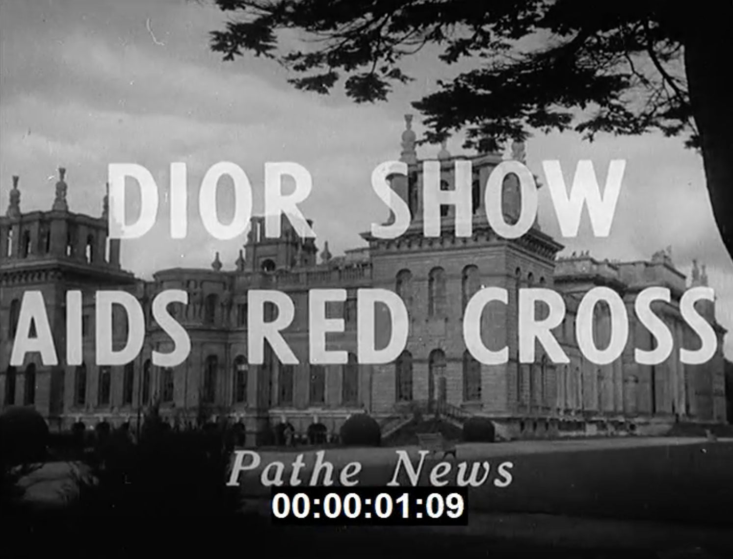 1954 Dior show aids red cross placeholder